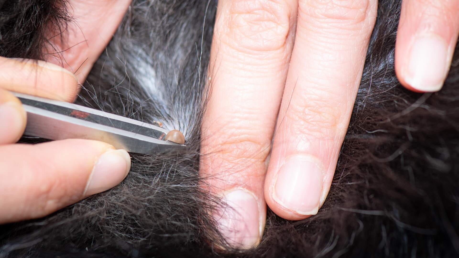 blog image description