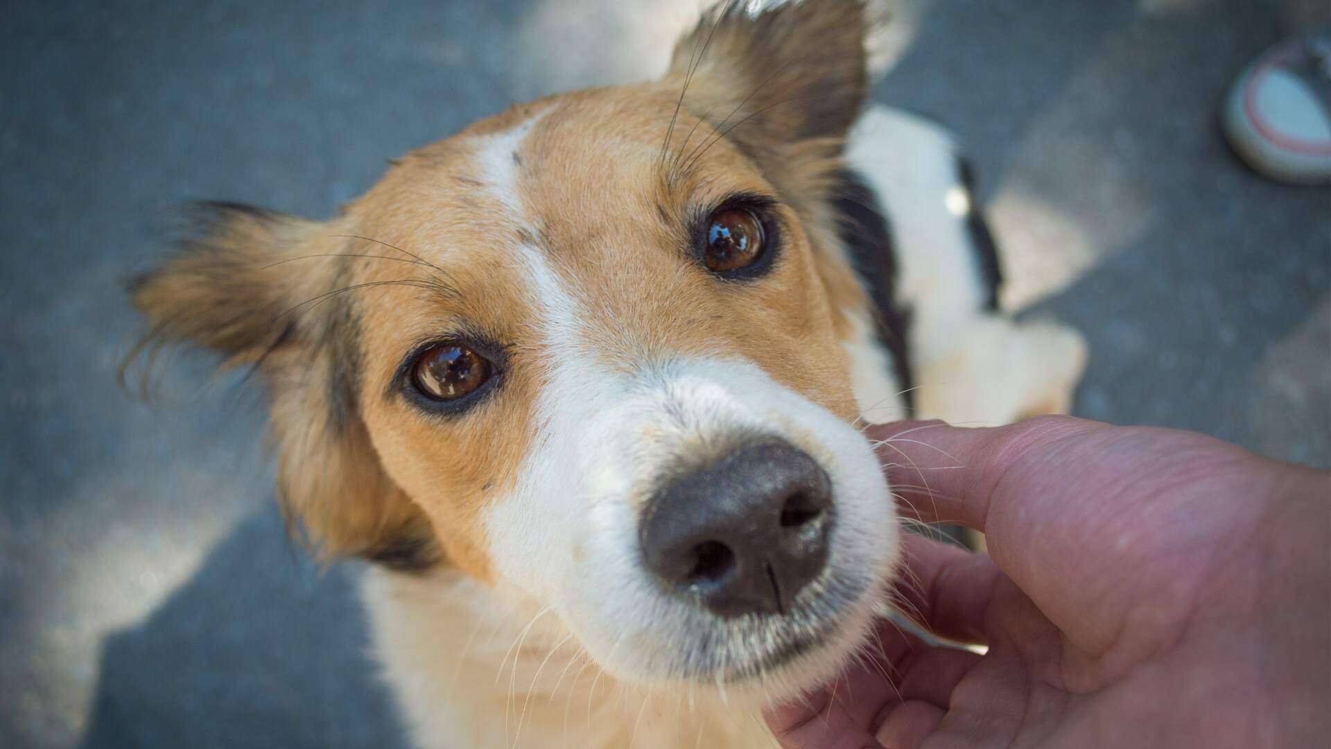 blog image description