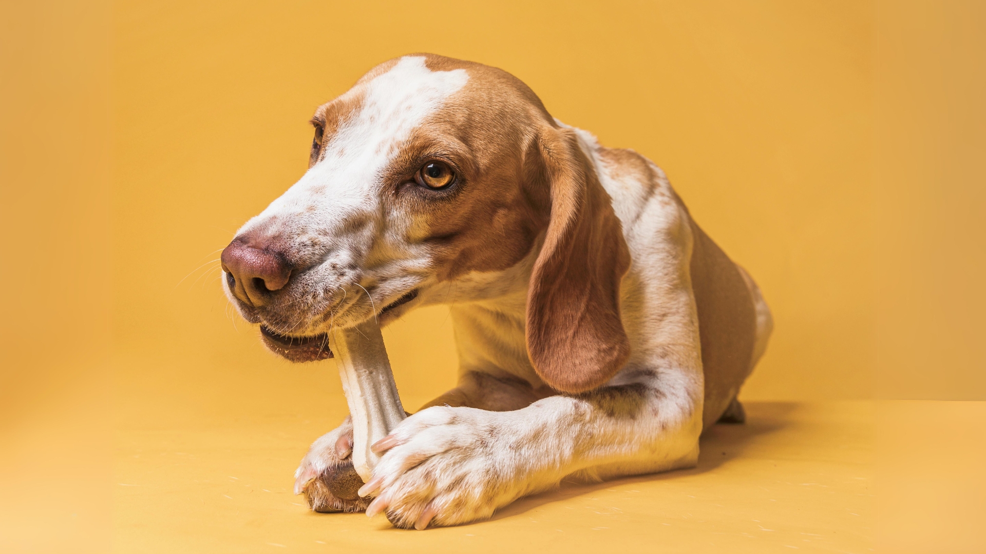 blog image description