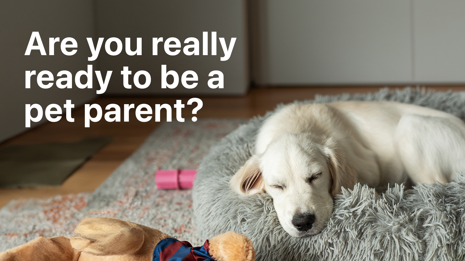 blog image description