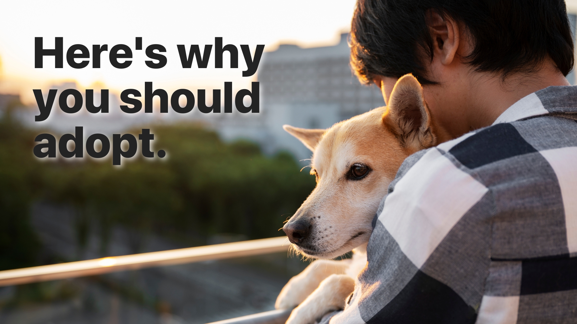 blog image description