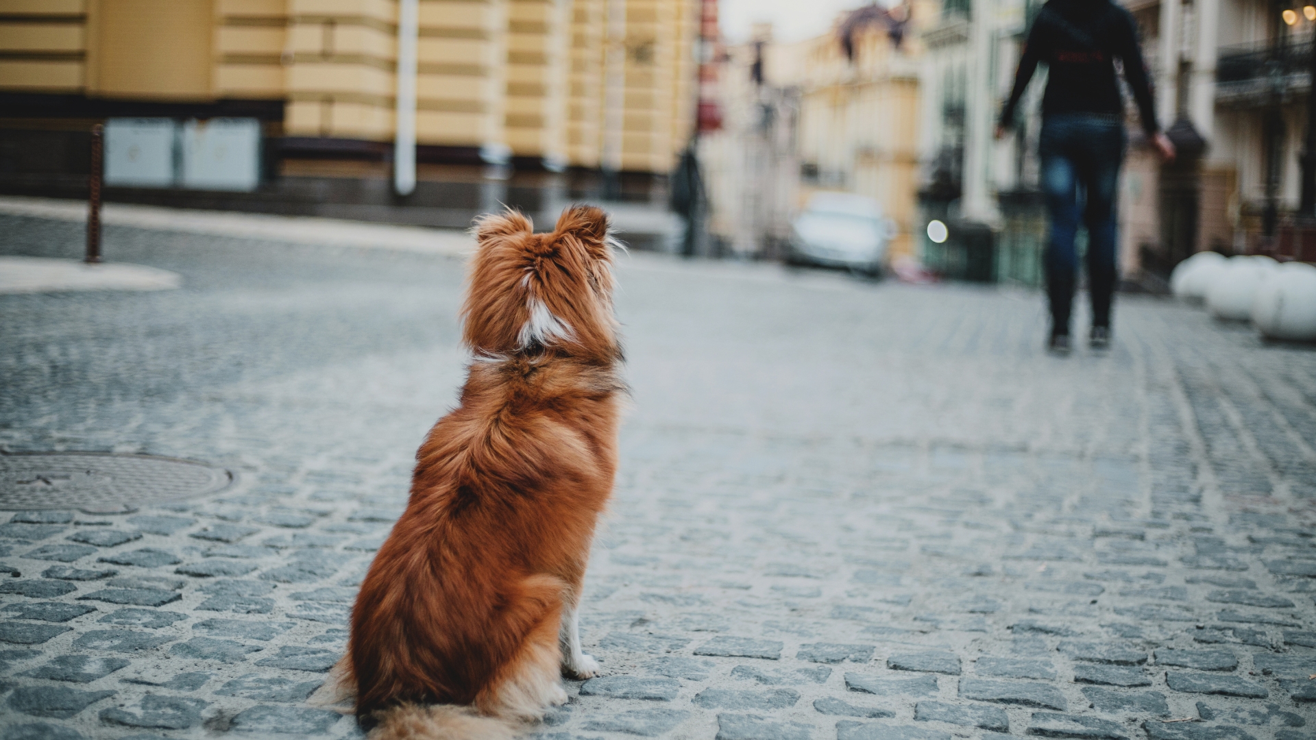 blog image description