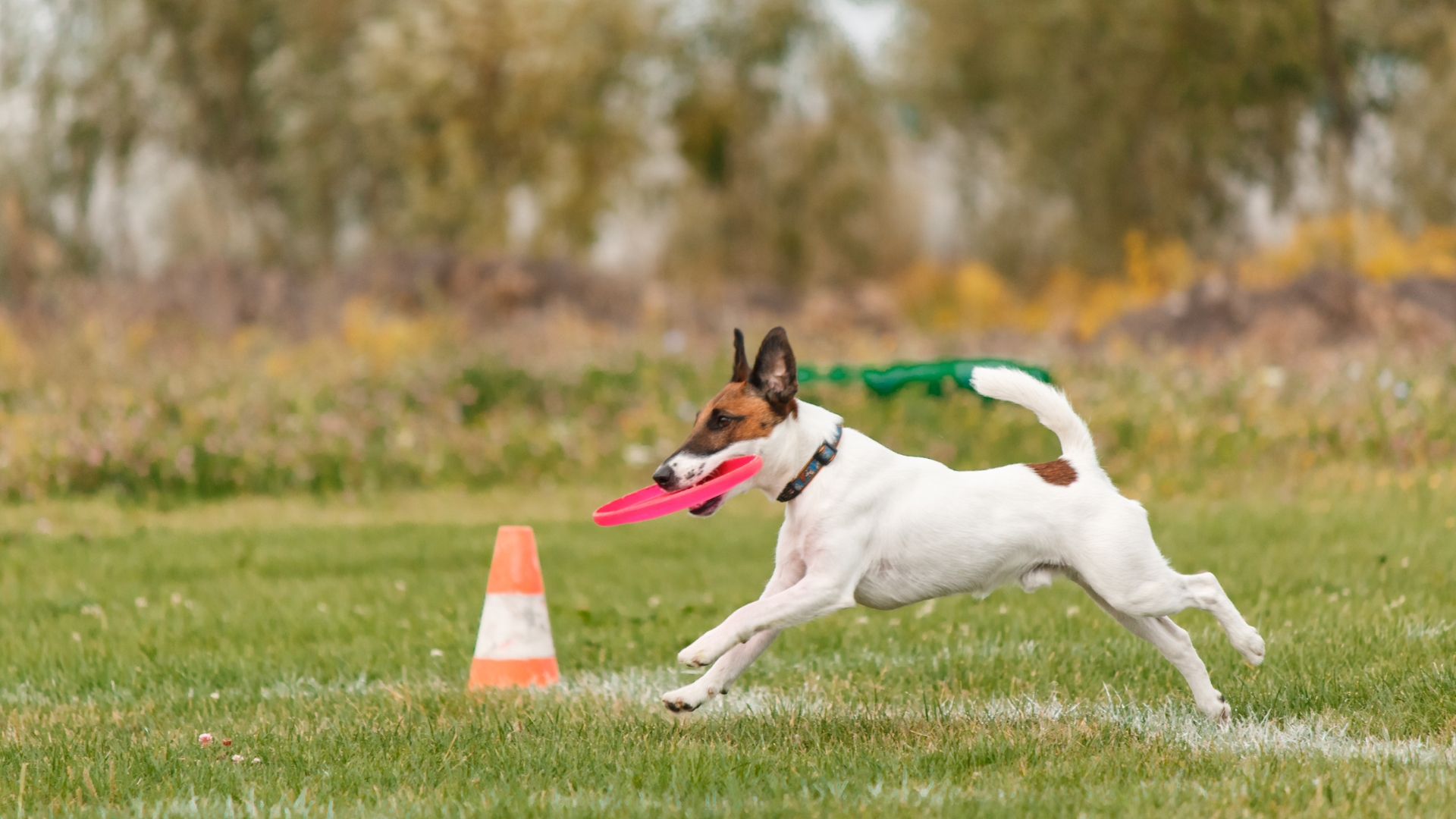 blog image description