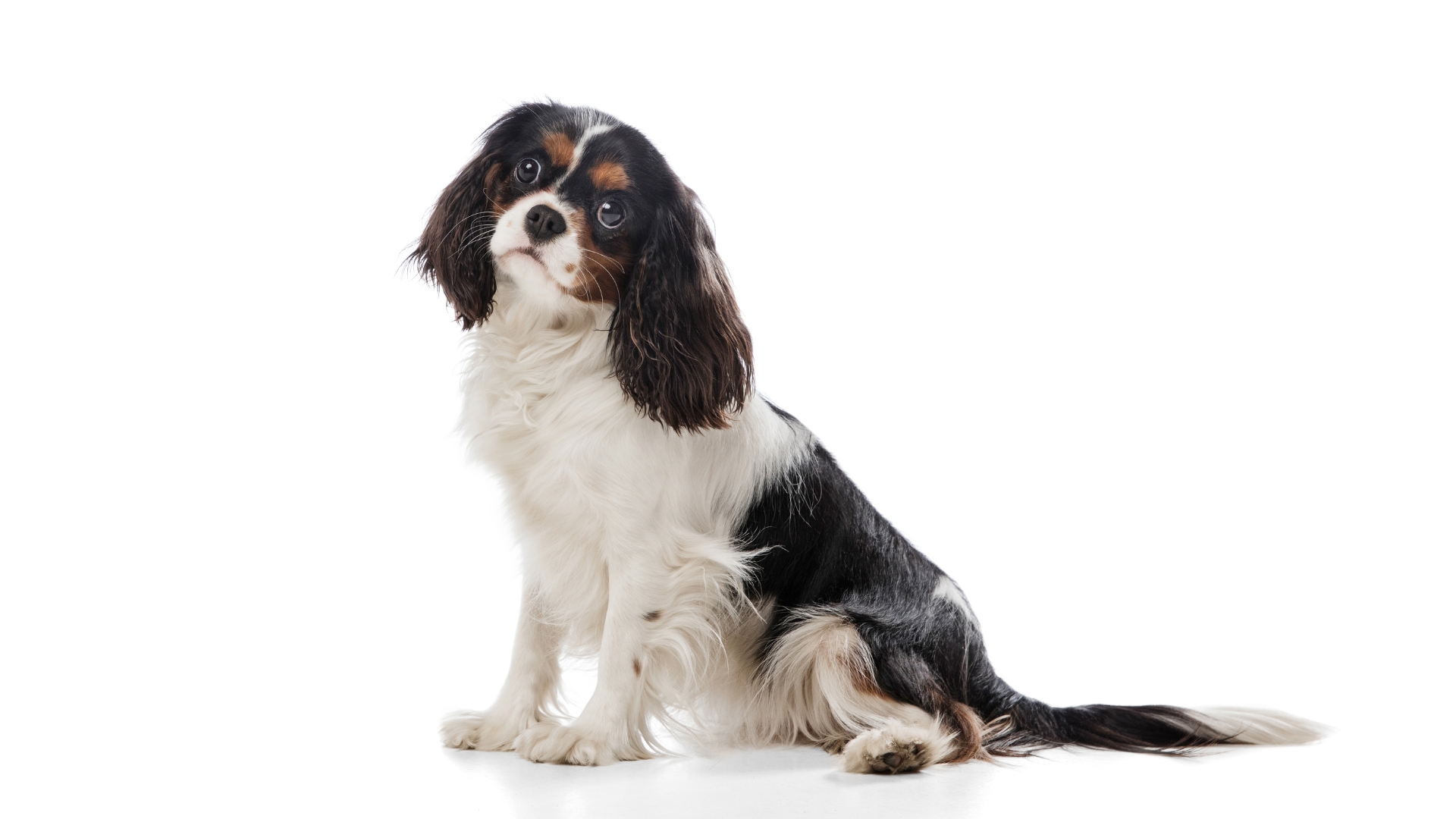 blog image description