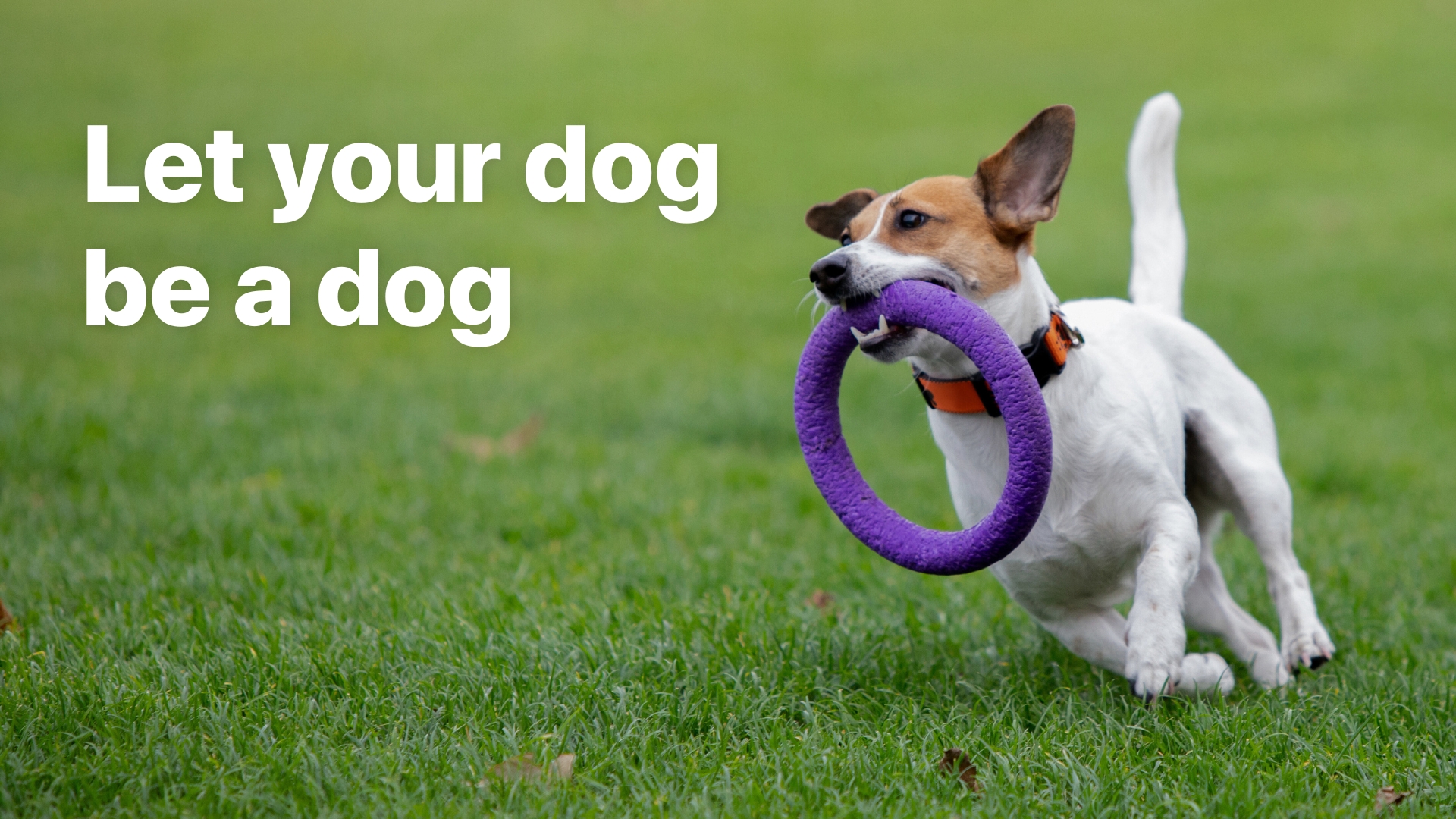 blog image description