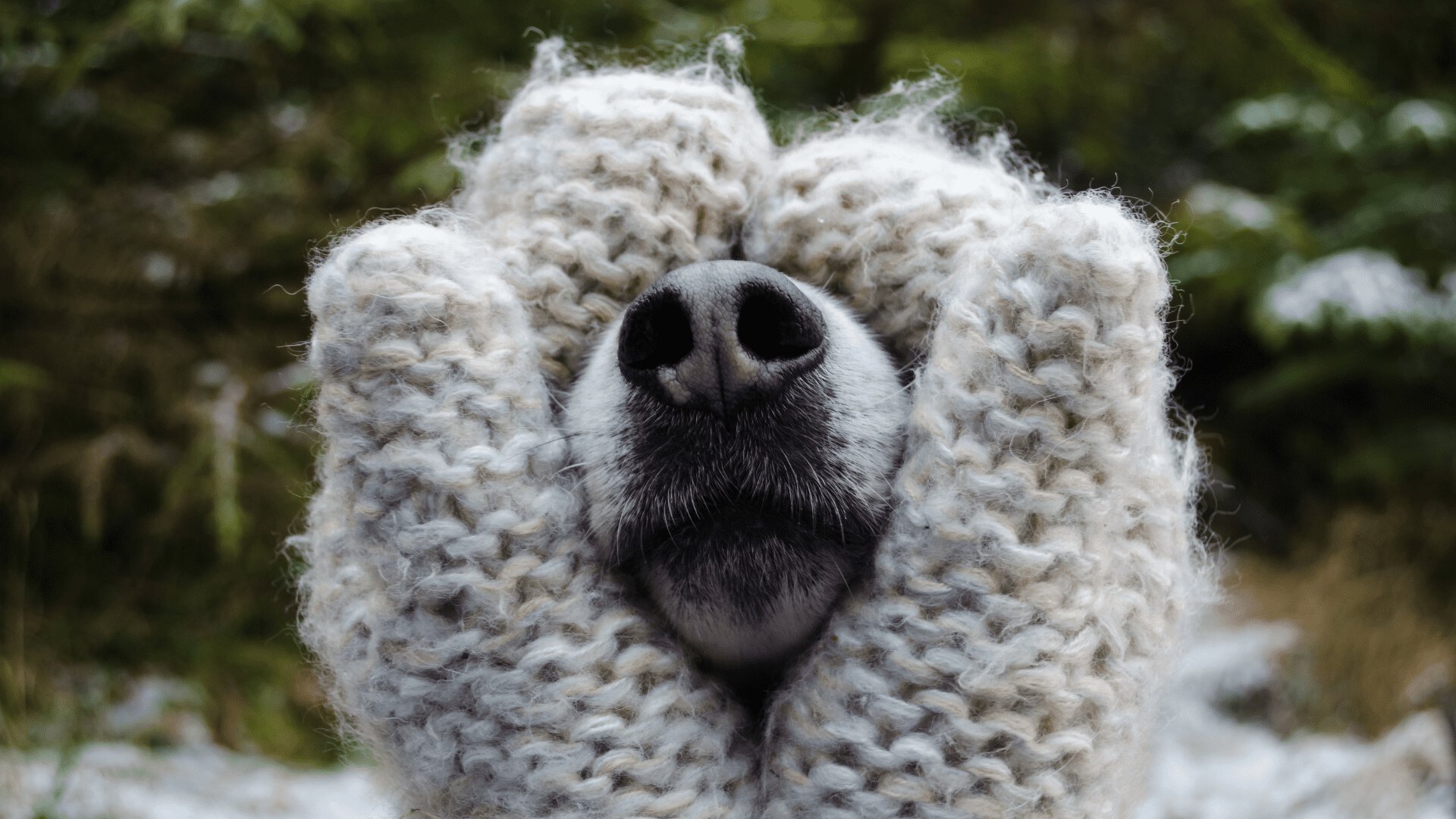 blog image description